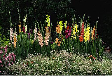 冒险游戏《虚妄之言》Steam页面开放 明年发售